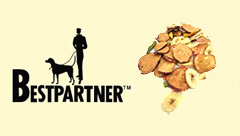 ベストパートナー